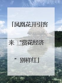 凤凰花开引客来 “赏花经济”别样红