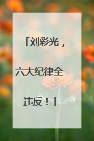 刘彩光，六大纪律全违反！