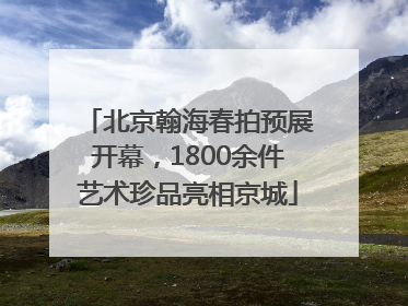 北京翰海春拍预展开幕，1800余件艺术珍品亮相京城
