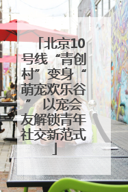 北京10号线“青创村”变身“萌宠欢乐谷” 以宠会友解锁青年社交新范式