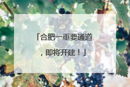 合肥一重要通道，即将开建！