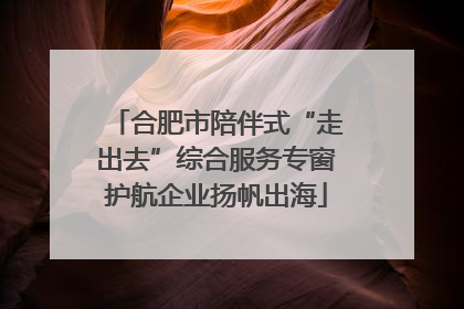 合肥市陪伴式“走出去”综合服务专窗护航企业扬帆出海