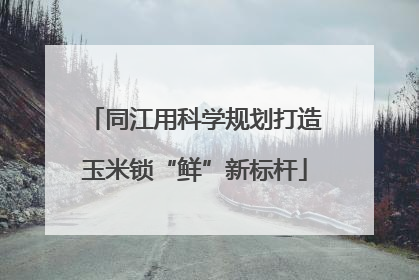同江用科学规划打造玉米锁“鲜”新标杆