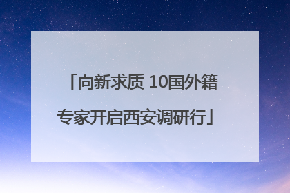 向新求质 10国外籍专家开启西安调研行
