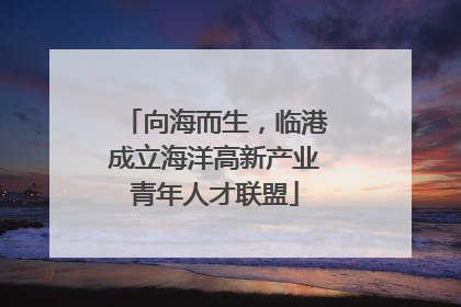 向海而生，临港成立海洋高新产业青年人才联盟