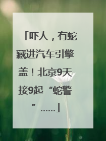 吓人，有蛇藏进汽车引擎盖！北京9天接9起“蛇警”……