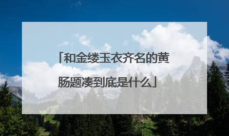 和金缕玉衣齐名的黄肠题凑到底是什么