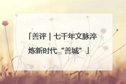 善评｜七千年文脉淬炼新时代“善城”