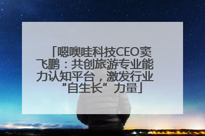 嗯噢哇科技CEO窦飞鹏：共创旅游专业能力认知平台，激发行业“自生长”力量