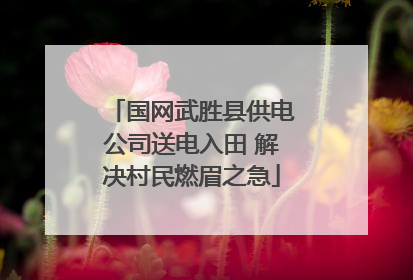 国网武胜县供电公司送电入田 解决村民燃眉之急