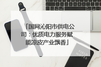 国网沁阳市供电公司：优质电力服务赋能凉皮产业飘香