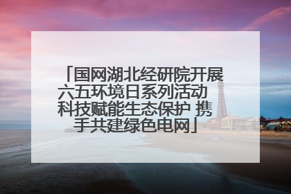 国网湖北经研院开展六五环境日系列活动 科技赋能生态保护 携手共建绿色电网