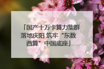国产十万卡算力集群落地庆阳 筑牢“东数西算”中国底座