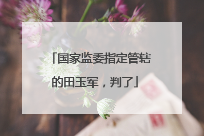 国家监委指定管辖的田玉军，判了