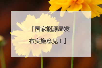 国家能源局发布实施意见！