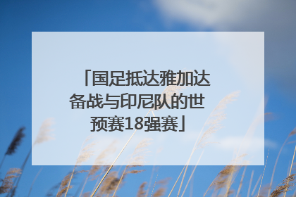国足抵达雅加达备战与印尼队的世预赛18强赛