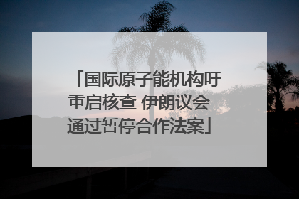 国际原子能机构吁重启核查 伊朗议会通过暂停合作法案