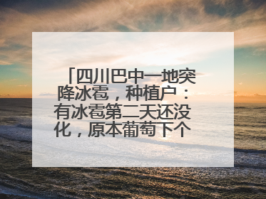 四川巴中一地突降冰雹，种植户：有冰雹第二天还没化，原本葡萄下个月上市，现在全被打落
