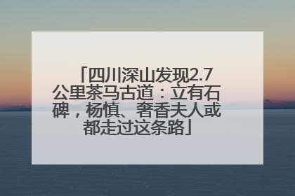 四川深山发现2.7公里茶马古道：立有石碑，杨慎、奢香夫人或都走过这条路