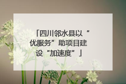 四川邻水县以“优服务”助项目建设“加速度”