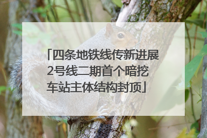 四条地铁线传新进展 2号线二期首个暗挖车站主体结构封顶
