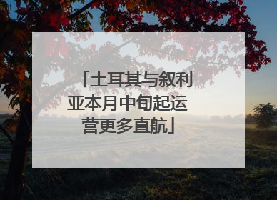 土耳其与叙利亚本月中旬起运营更多直航