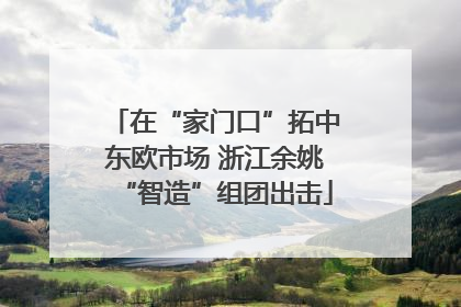 在“家门口”拓中东欧市场 浙江余姚“智造”组团出击