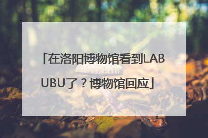 在洛阳博物馆看到LABUBU了？博物馆回应