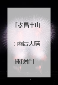 孝昌丰山：雨后天晴插秧忙
