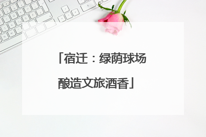 宿迁：绿荫球场酿造文旅酒香