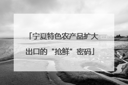 宁夏特色农产品扩大出口的“抢鲜”密码