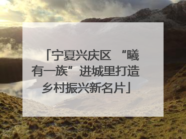 宁夏兴庆区 “曦有一族”进城里打造乡村振兴新名片