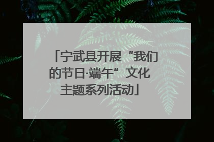 宁武县开展“我们的节日·端午”文化主题系列活动
