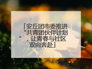 安丘团市委推进“共青团伙伴计划”，让青春与社区双向奔赴