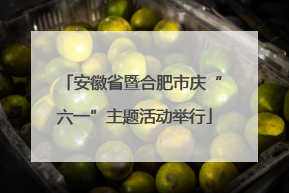安徽省暨合肥市庆“六一”主题活动举行