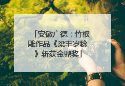 安徽广德：竹根雕作品《梁丰岁稔》斩获金鼎奖