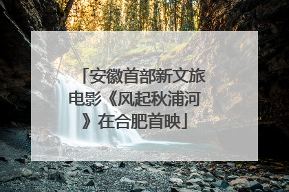 安徽首部新文旅电影《风起秋浦河》在合肥首映