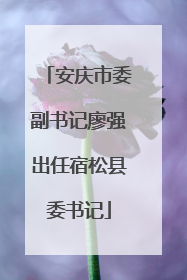 安庆市委副书记廖强出任宿松县委书记