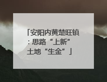 安阳内黄楚旺镇：思路“上新” 土地“生金”