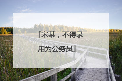 宋某，不得录用为公务员