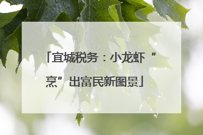 宜城税务：小龙虾“烹”出富民新图景