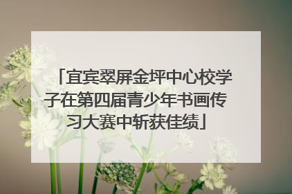 宜宾翠屏金坪中心校学子在第四届青少年书画传习大赛中斩获佳绩