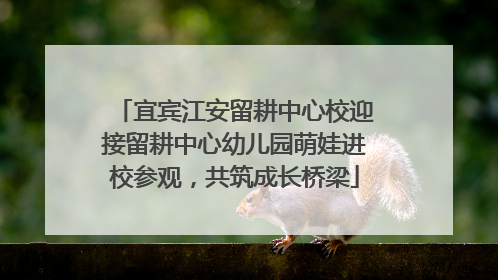 宜宾江安留耕中心校迎接留耕中心幼儿园萌娃进校参观，共筑成长桥梁