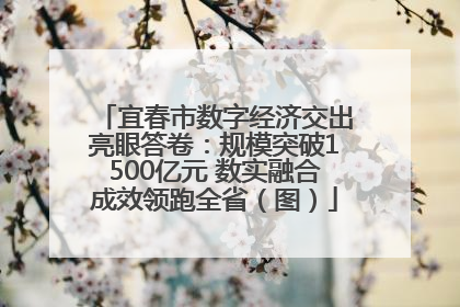 宜春市数字经济交出亮眼答卷：规模突破1500亿元 数实融合成效领跑全省（图）