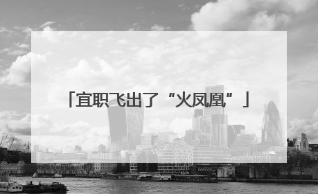 宜职飞出了“火凤凰”