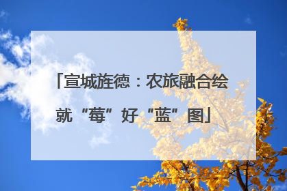 宣城旌德：农旅融合绘就“莓”好“蓝”图