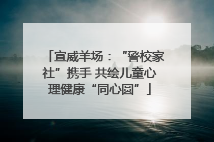 宣威羊场：“警校家社”携手 共绘儿童心理健康“同心圆”
