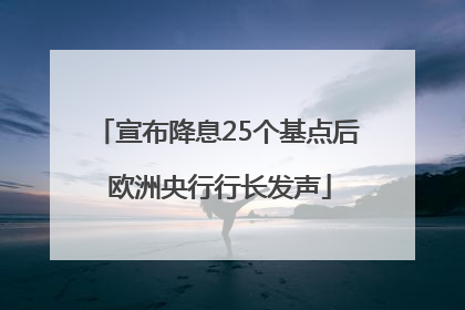宣布降息25个基点后 欧洲央行行长发声