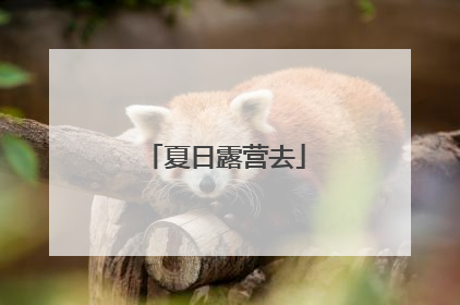 夏日露营去