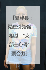 夏津县：党建引领强根基 “支部主心骨”聚合力